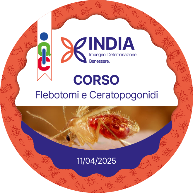 Flebotomi e ceratopogonidi